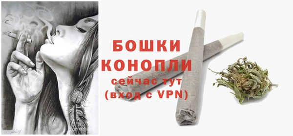 МДПВ Осташков