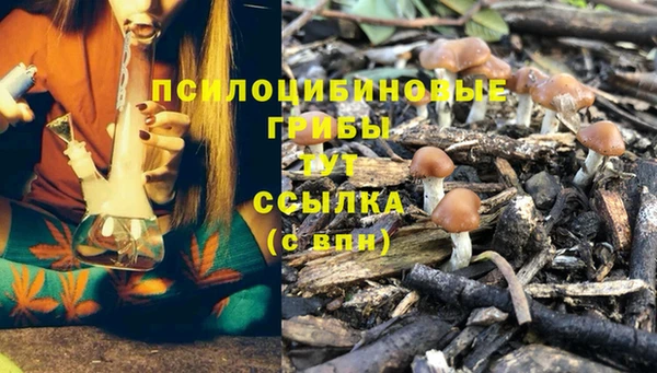 экстази Алексин