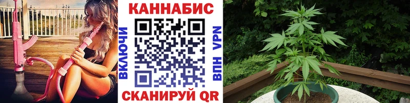 Бошки марихуана планчик  Калач-на-Дону 